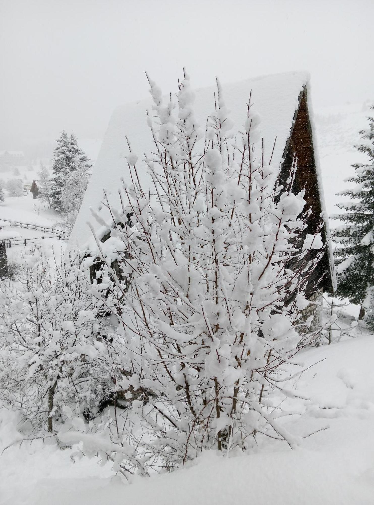 Durmitor Žabljak Exterior foto