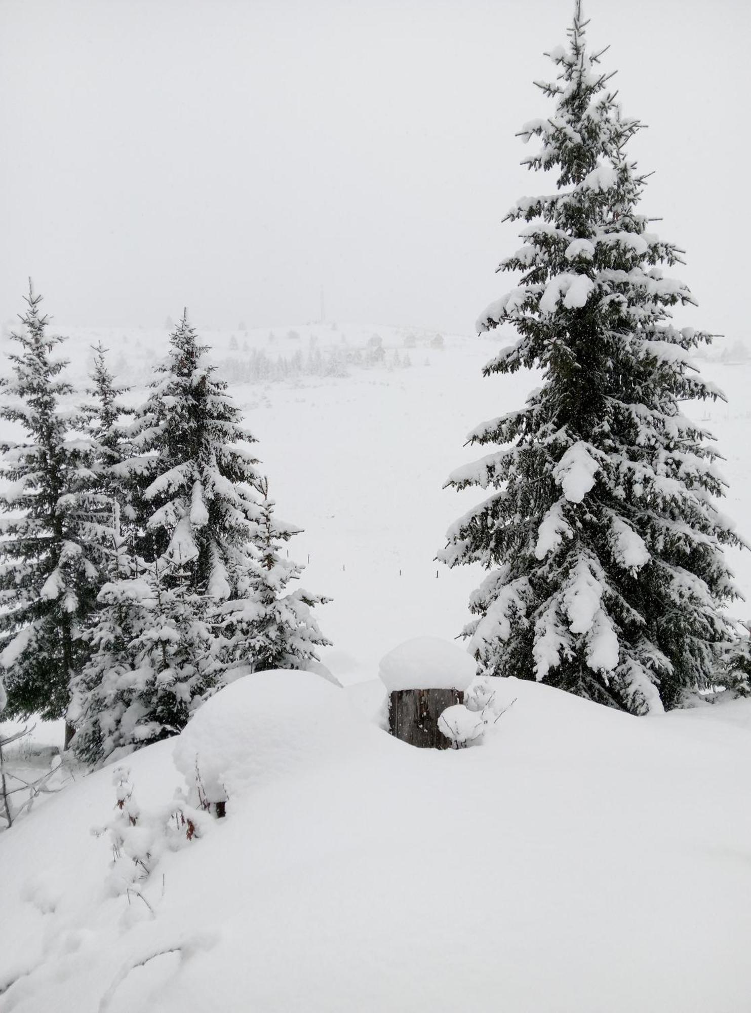 Durmitor Žabljak Exterior foto